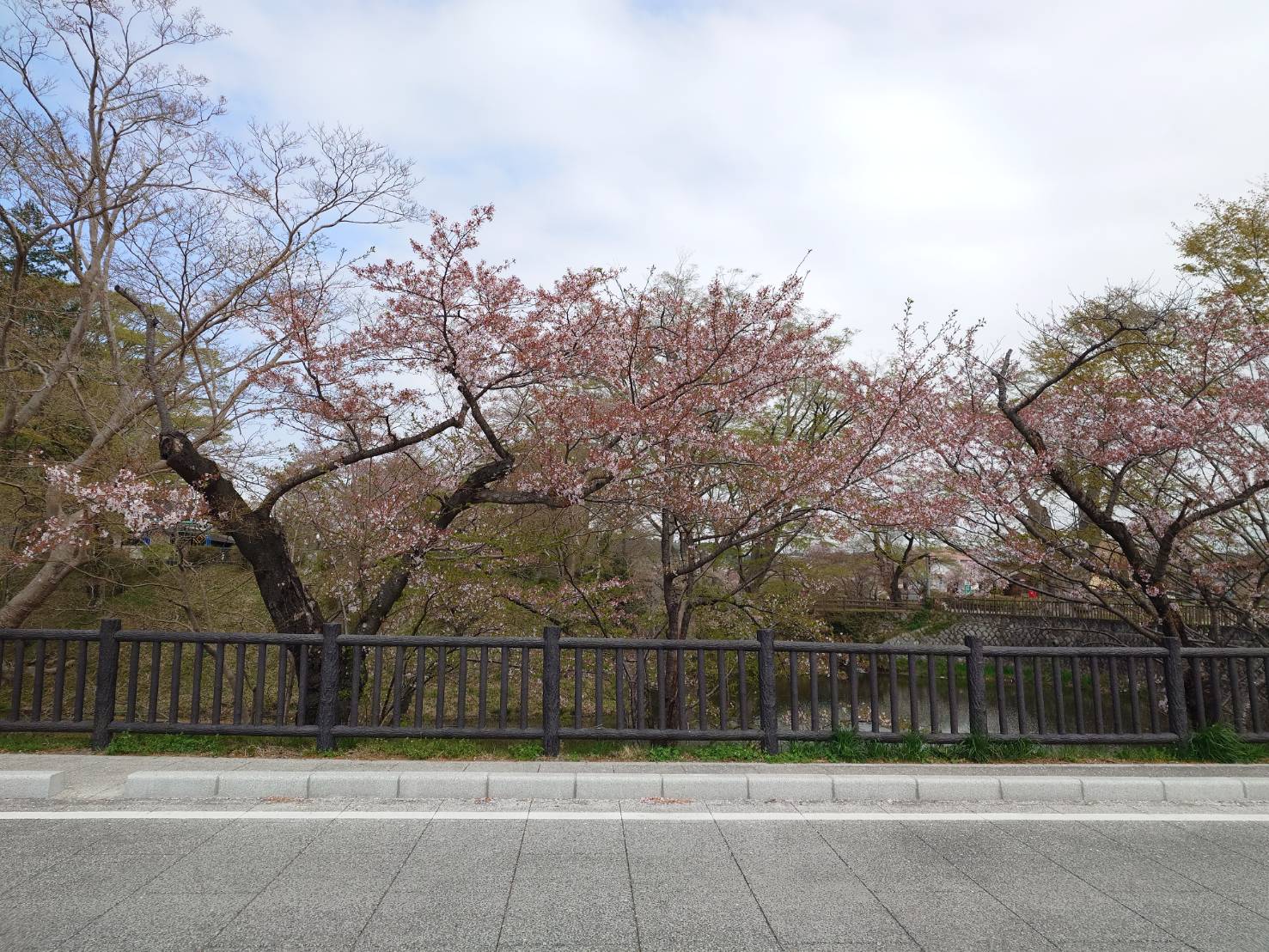 0414城跡1