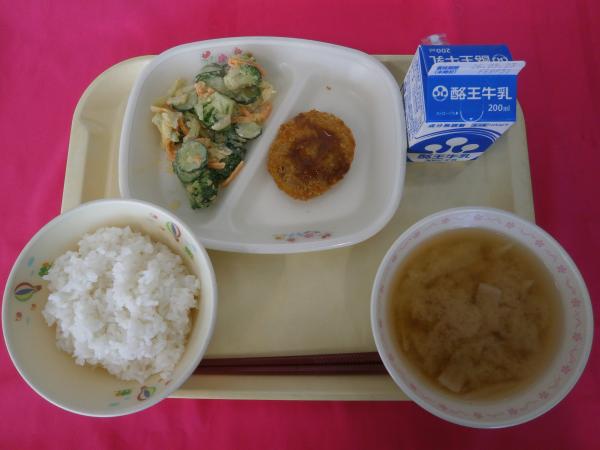 5月12日(火)