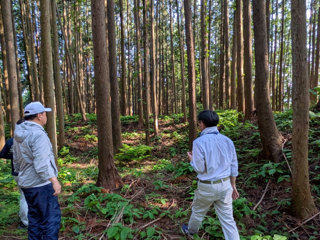 2026.5.18 寺山館跡現地確認1