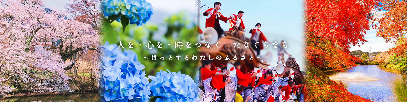 トップ画像